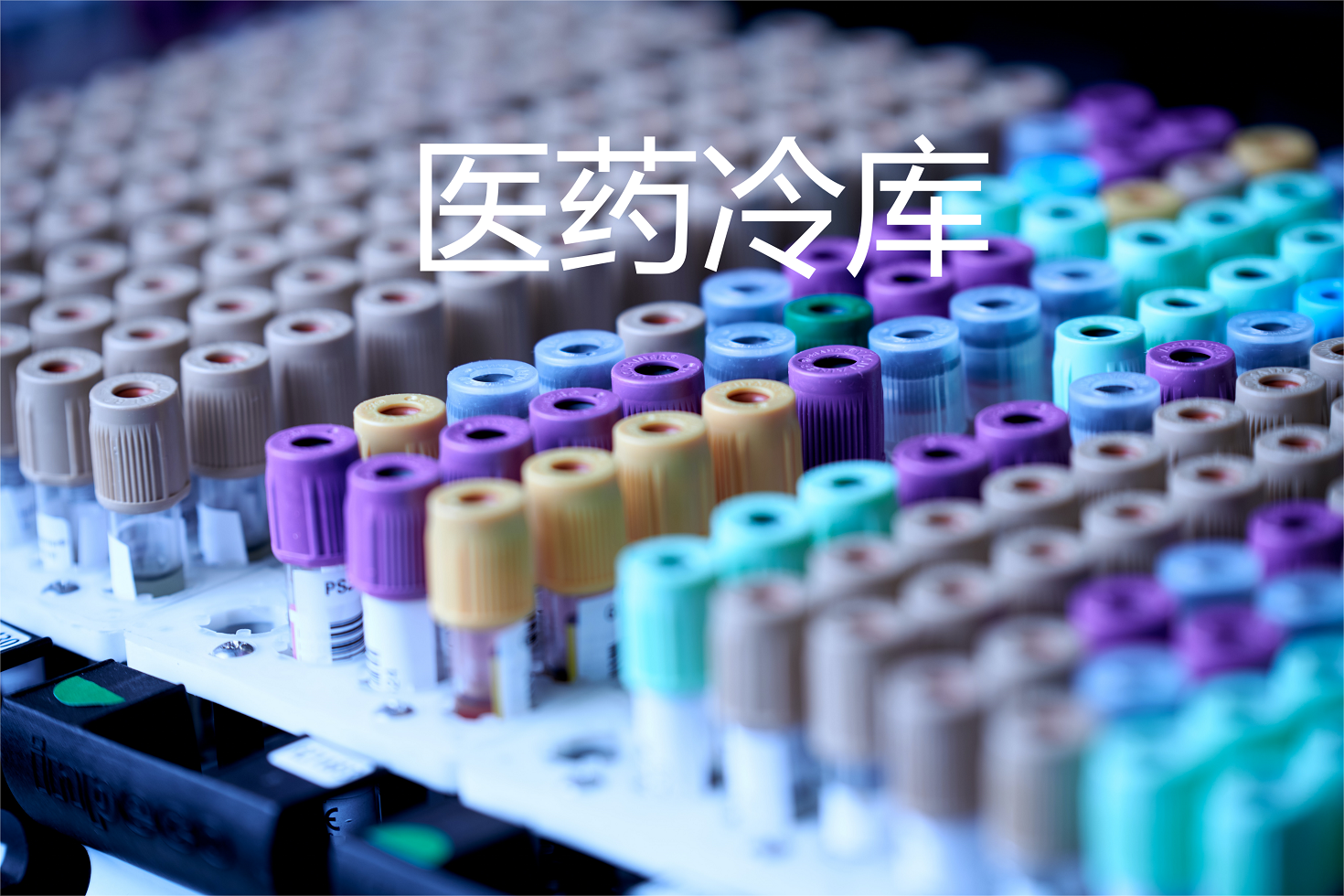 医药冷库