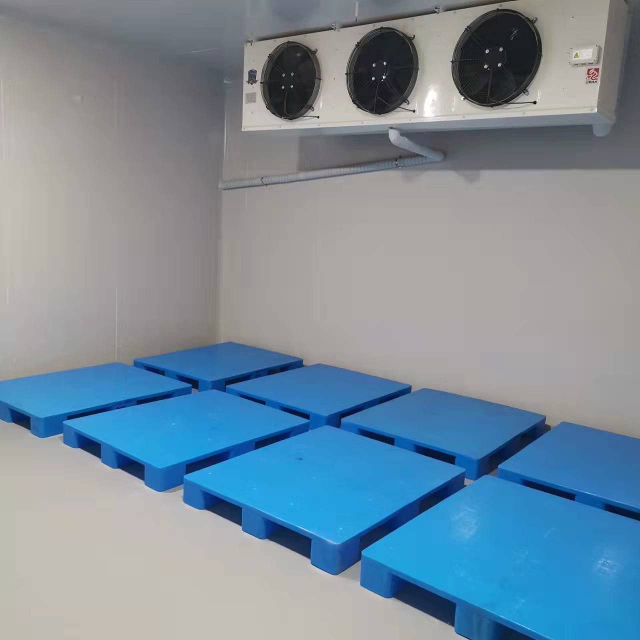5.2小型.jpg